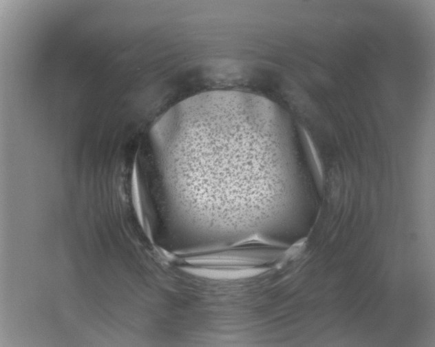 X0000062131346200512231427