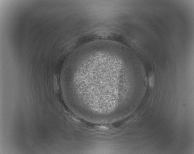 X0000062131347200512231427