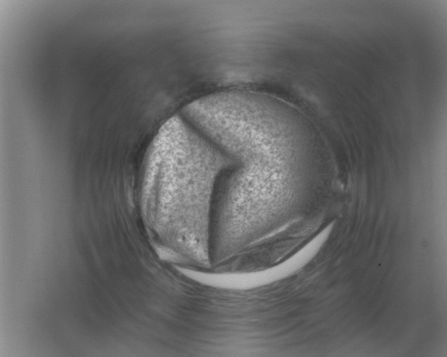 X0000062131348200512231427