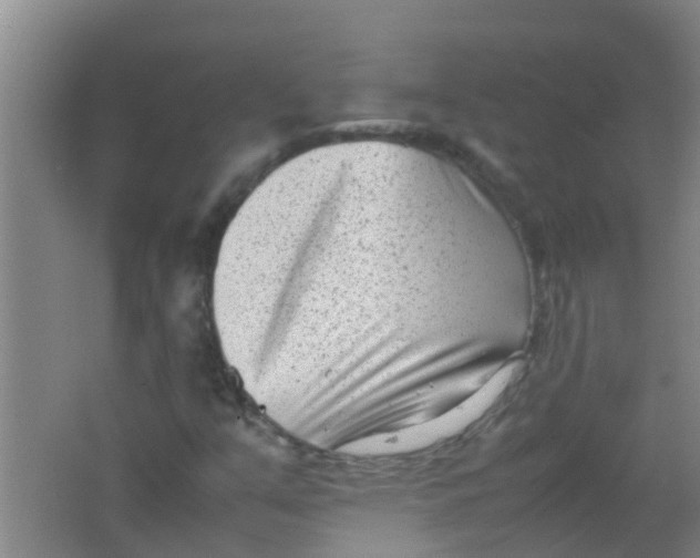 X0000062131351200512231427