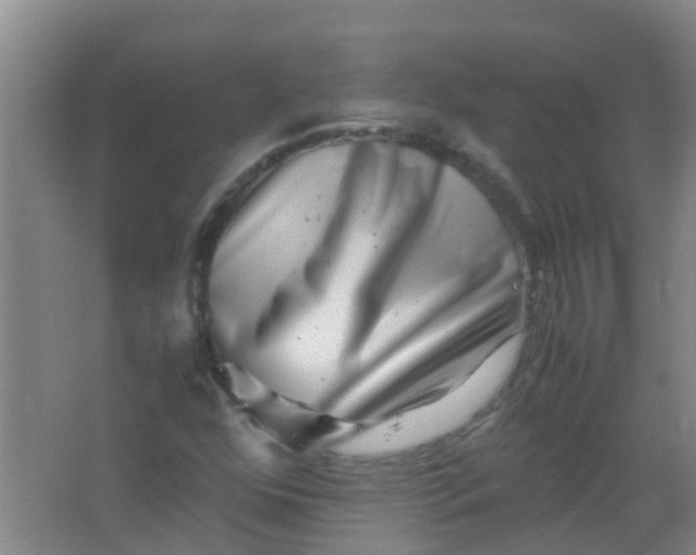 X0000062131352200512231427