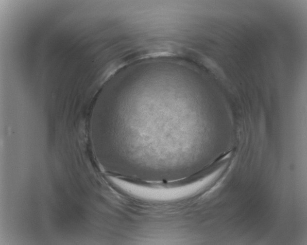 X0000062131353200512231427