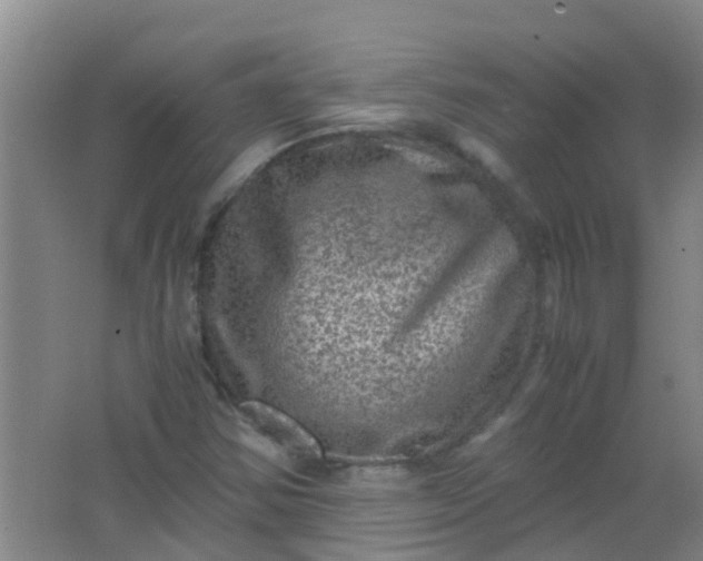 X0000062131354200512231427