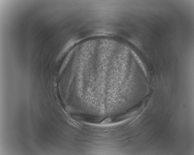 X0000062131355200512231427