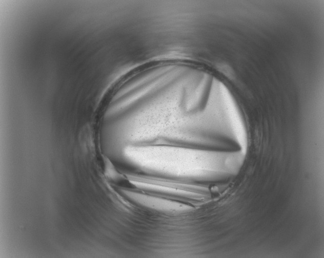 X0000062131356200512231427