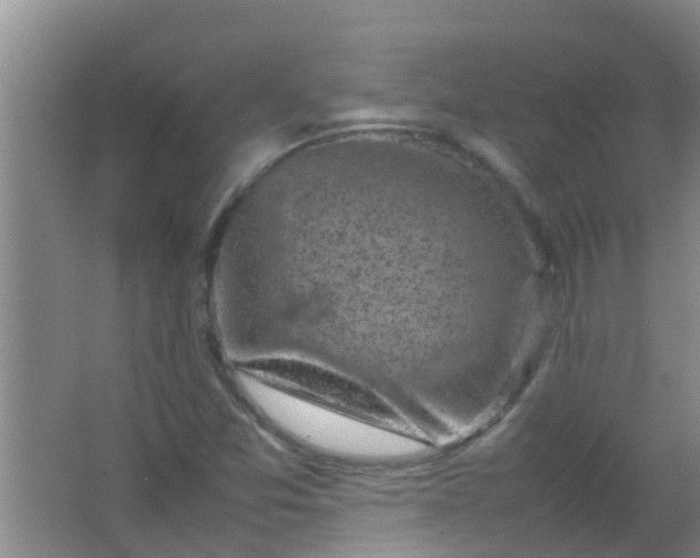 X0000062131357200512231427