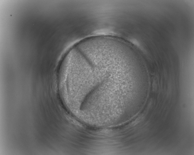 X0000062131358200512231426