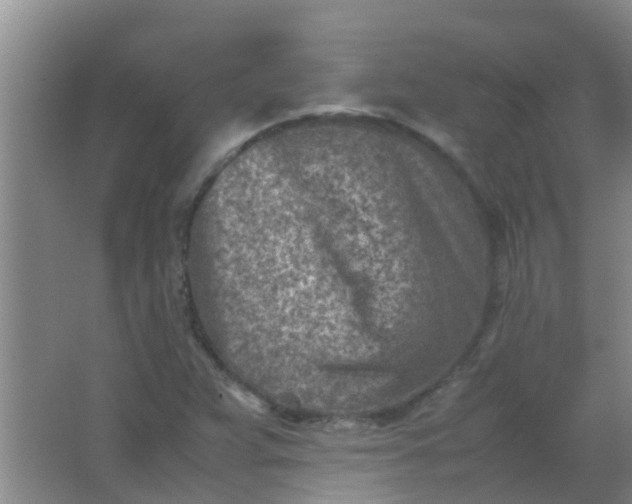 X0000062131359200512231426