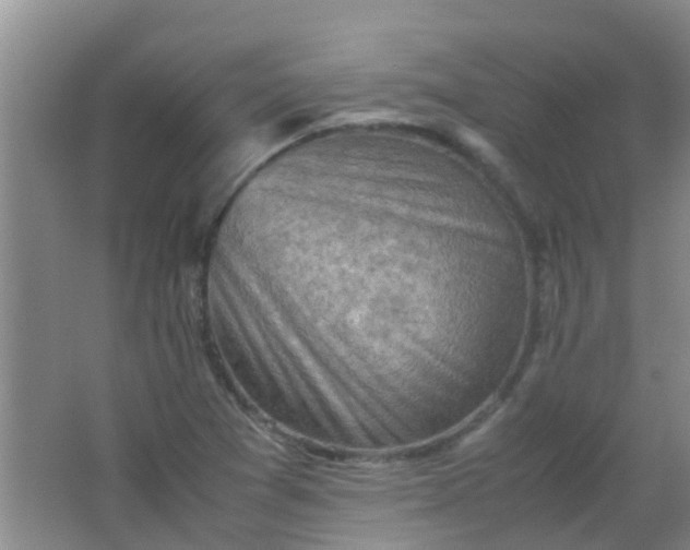 X0000062131361200512231426