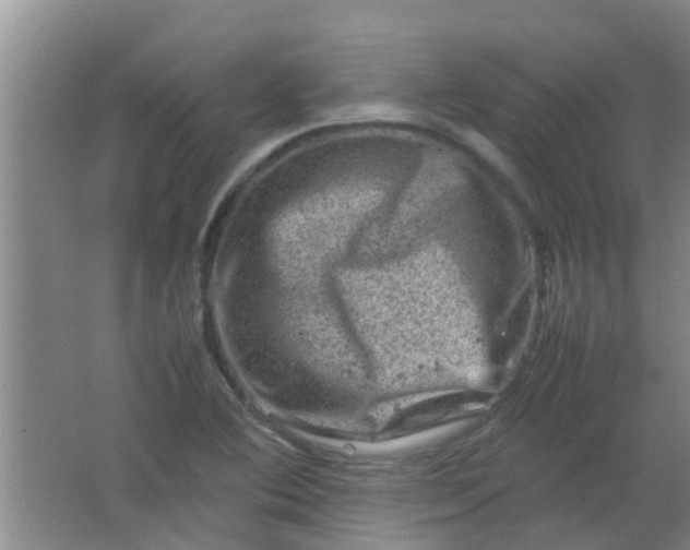 X0000062131364200512231426