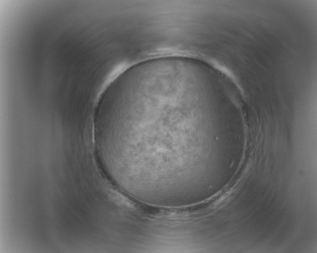 X0000062131365200512231426