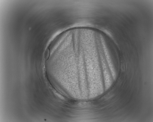 X0000062131366200512231426