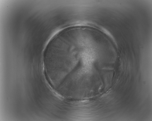 X0000062131368200512231426