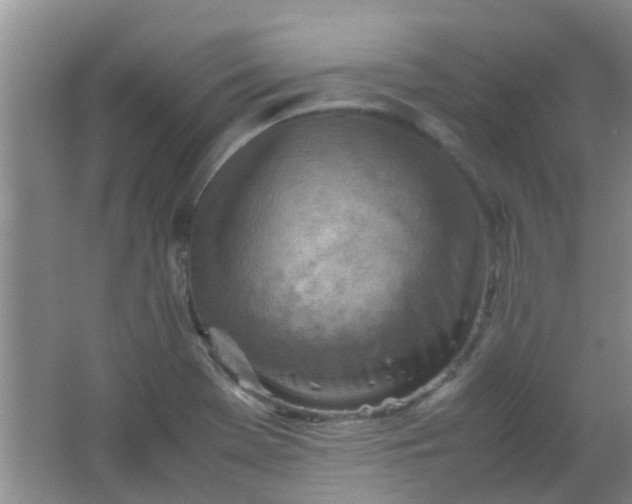 X0000062131369200512231426