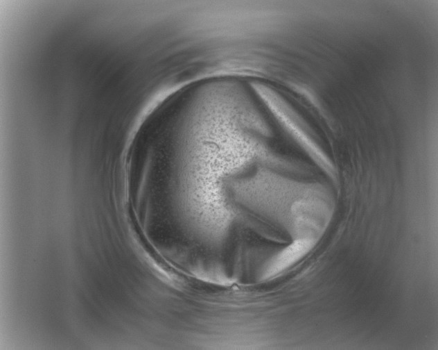 X0000062131371200512231426