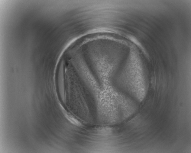 X0000062131372200512231426