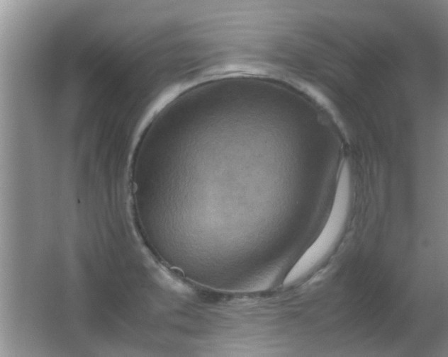 X0000062131373200512231426