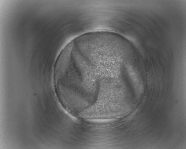 X0000062131374200512231426