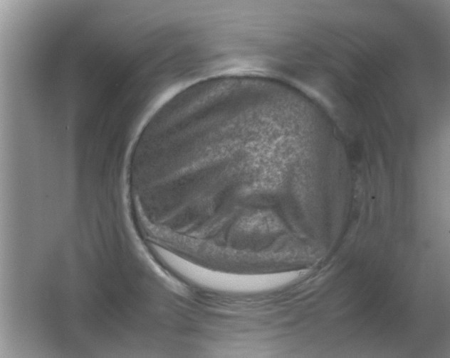 X0000062131375200512231426