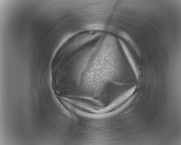 X0000062131376200512231426