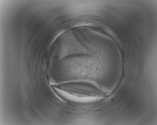 X0000062131377200512231426