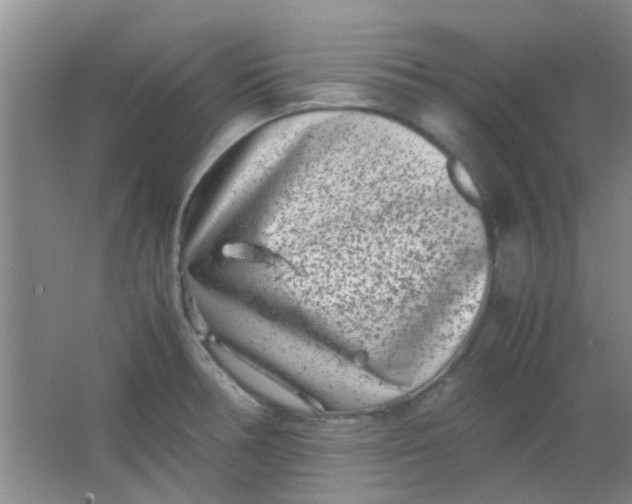 X0000062131378200512231426