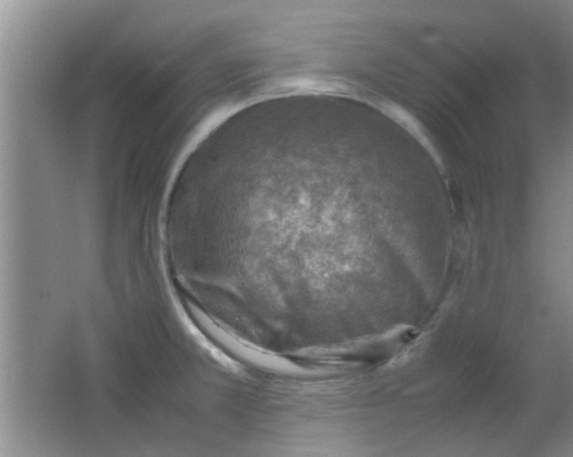 X0000062131381200512231426