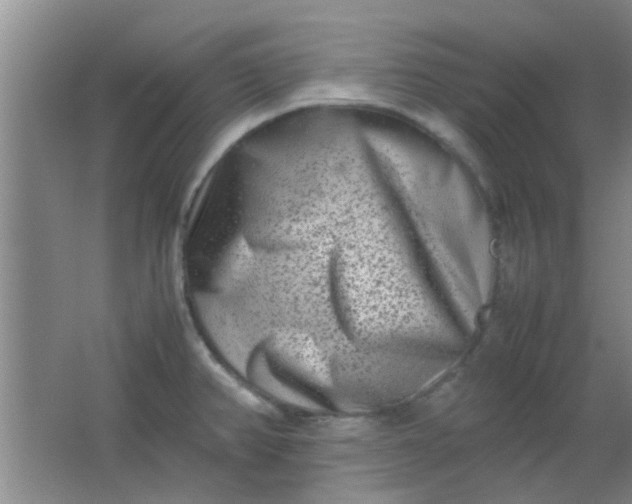 X0000062131382200512231426