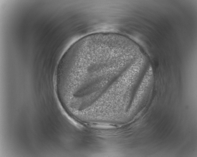 X0000062131383200512231426