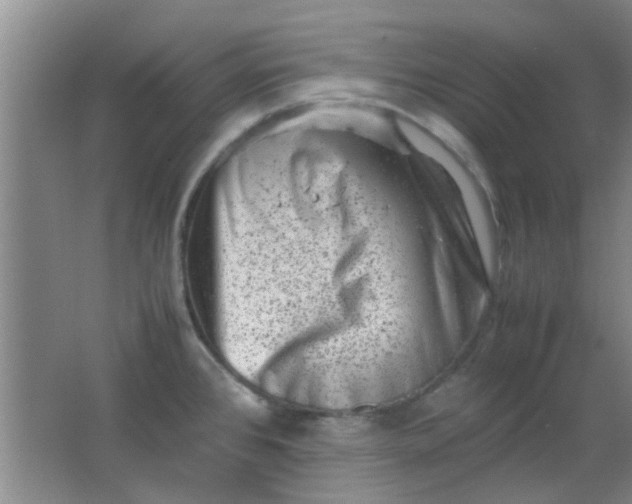 X0000062131384200512231426