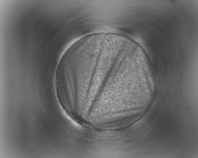 X0000062131387200512231426