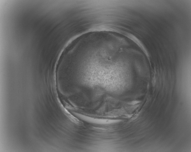 X0000062131388200512231426