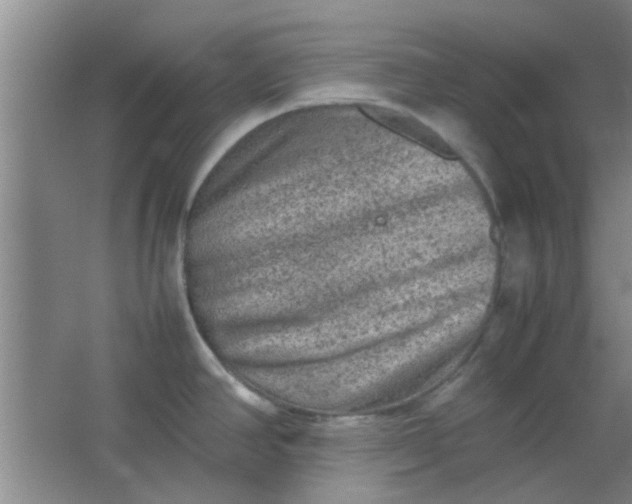 X0000062131390200512231426