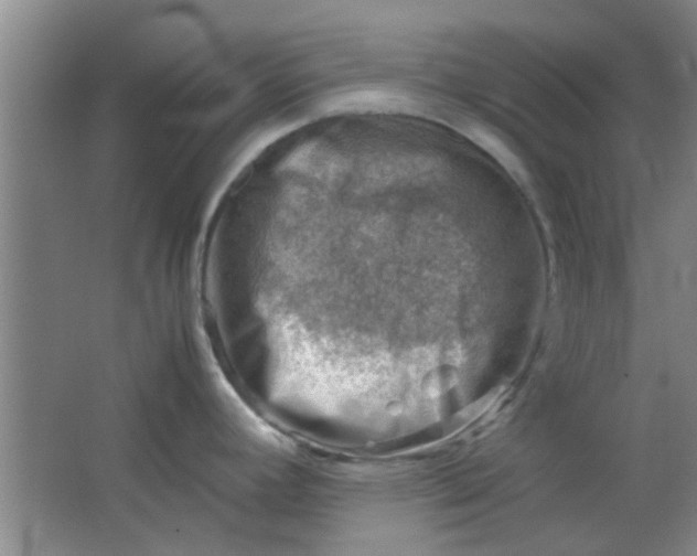 X0000062131392200512231426