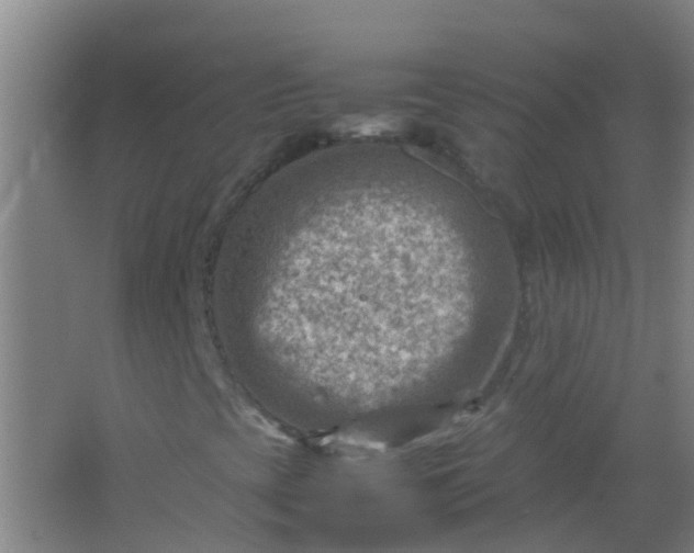 X0000062131393200512231425