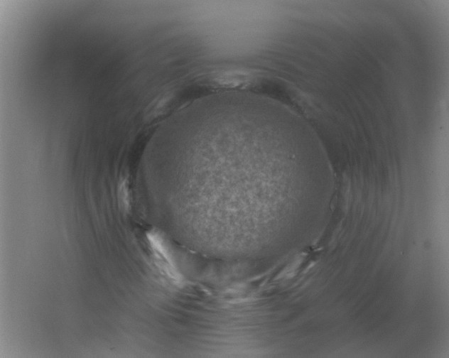 X0000062131394200512231425