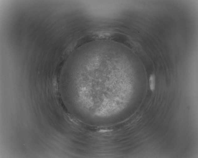 X0000062131395200512231425