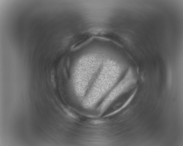 X0000062131396200512231425