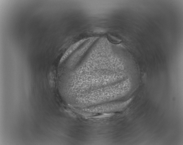 X0000062131397200512231425