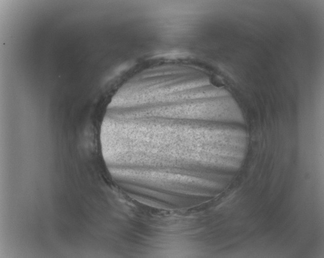 X0000062131398200512231425