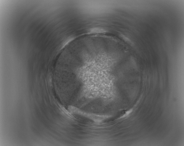 X0000062131401200512231425