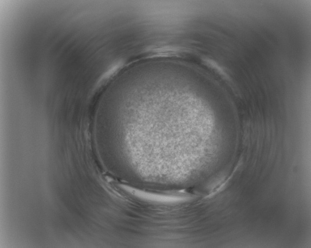 X0000062131403200512231425