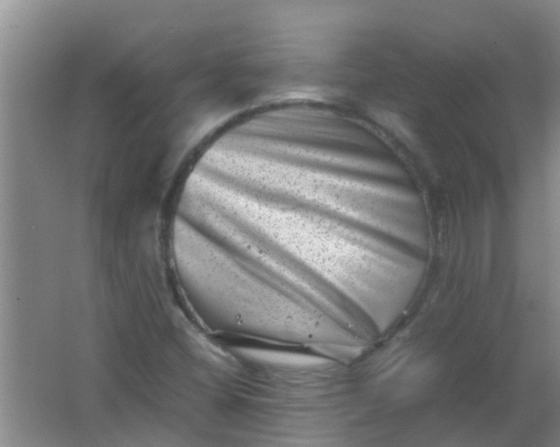 X0000062131404200512231425