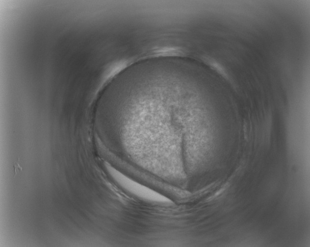 X0000062131405200512231425