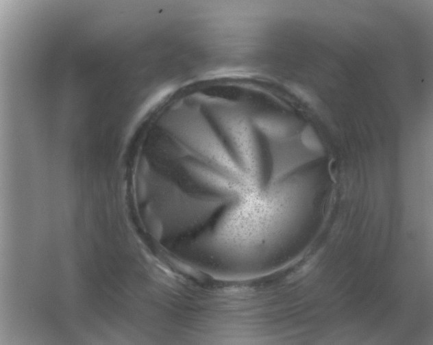 X0000062131406200512231425