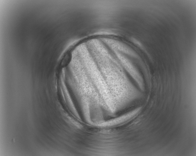 X0000062131408200512231425