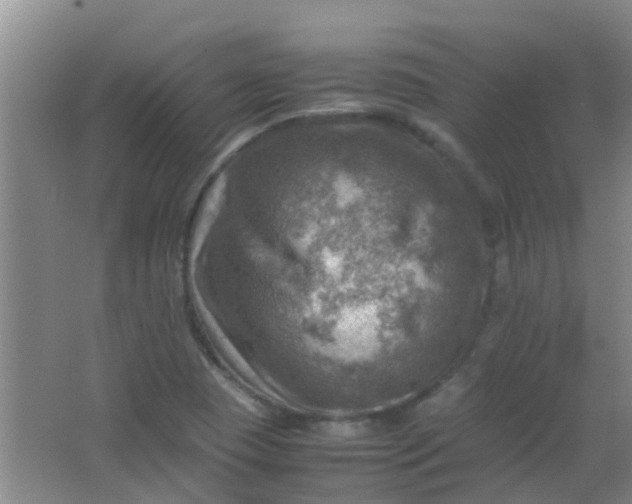 X0000062131409200512231425