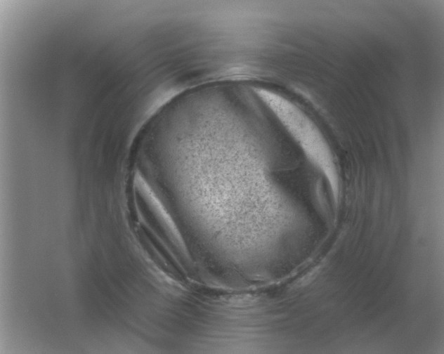 X0000062131410200512231425