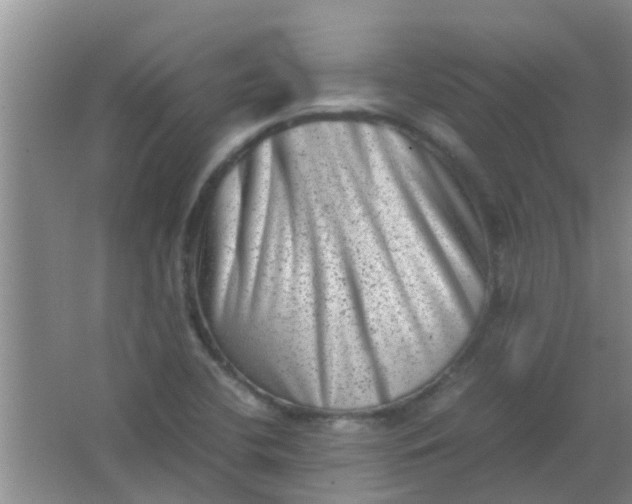 X0000062131412200512231425