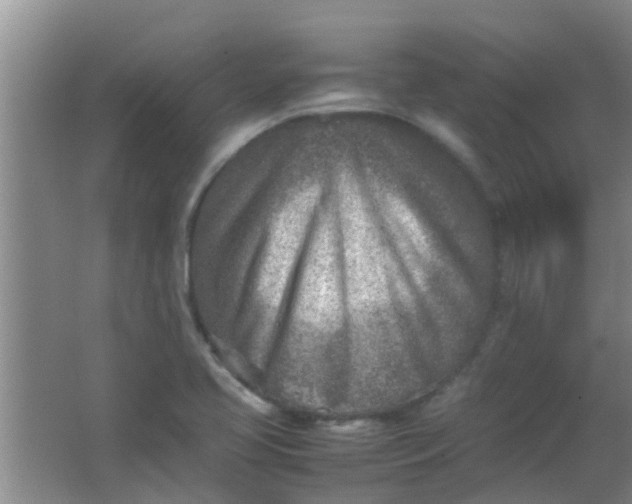 X0000062131413200512231425